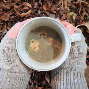 Feed the Hike Hearty Mushroom Soup